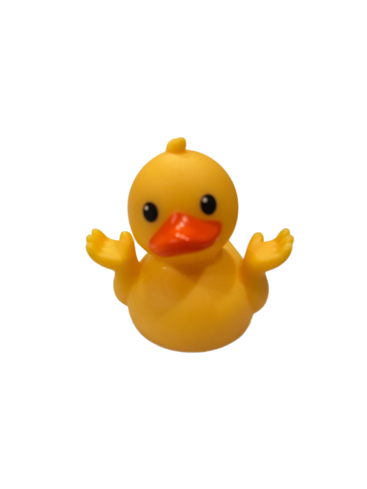 "I Don't Know" Rubber Duck