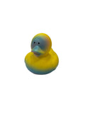 Yellow & Blue Rubber Duck
